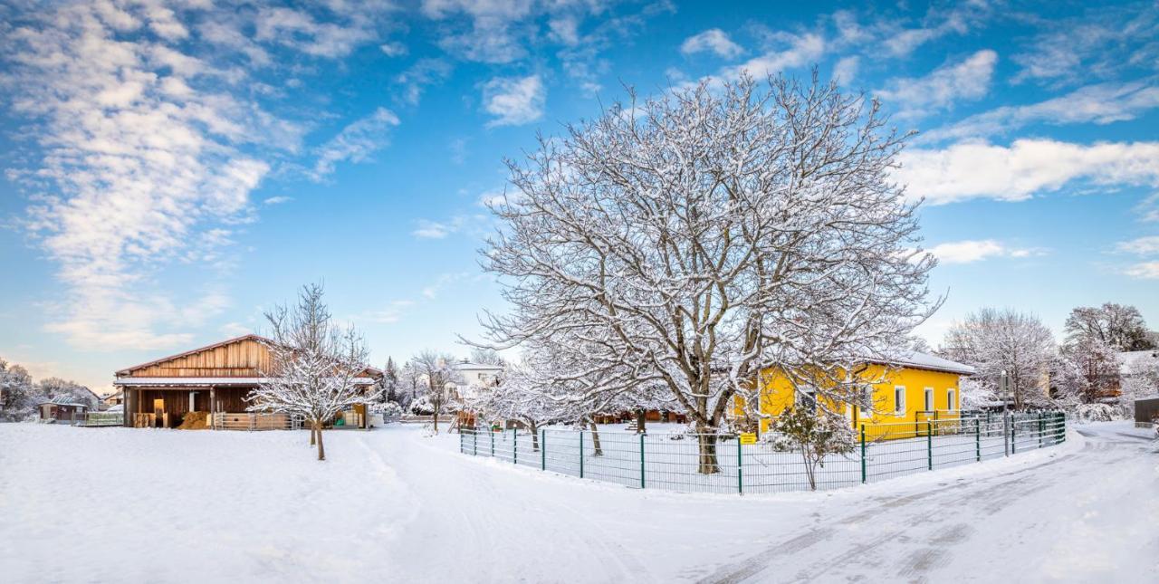 Ferienhaus Schlagerbauer Biohof Σάλτσμπουργκ Εξωτερικό φωτογραφία